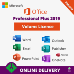 Microsoft Office 2019 Professional Plus