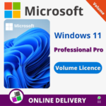 Microsoft Windows11 Professional_Plus Volume License
