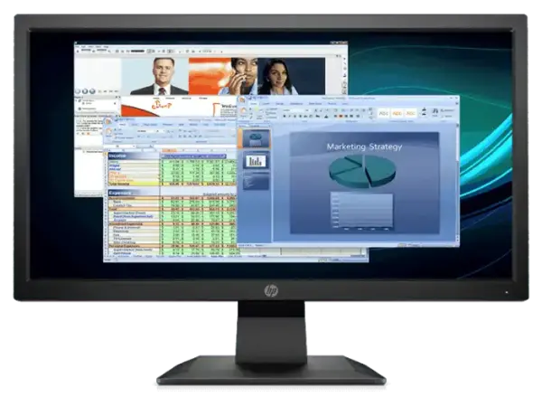 HP P204v(19.5) Monitor
