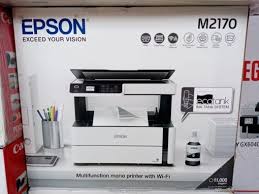 Epson M2170 Monochrome Printer